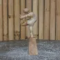 morepic-6